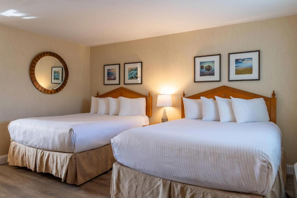 Efficiency Queen Room with Two Queen Beds - Non Smoking  interior